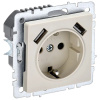 BRITE Роз. с з/к/ш 16А с USB A+A 3,1А РЮш10-2-БрКр беж. IEK
