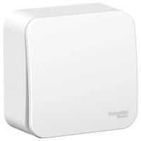 W:\img\_tkacheva\05_02_2025_ken\399409.jpg